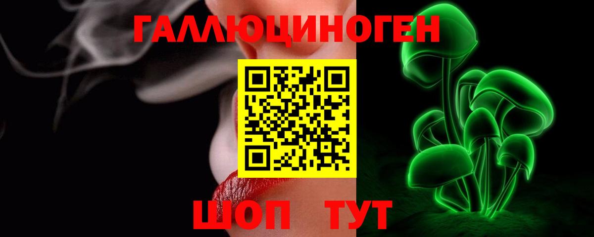 Галлюциногенные грибы Psilocybe Клинцы